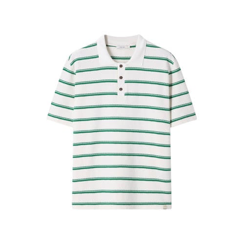 Sissy-Boy regular gestreepte T-shirt gebreid groen afbeelding