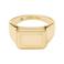 Fossil ring JF04952710 goudkleurig