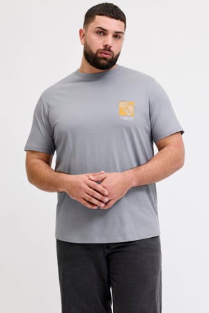 regular T-shirt grijs