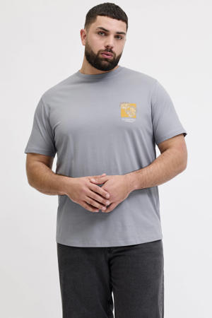 regular T-shirt grijs