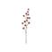 Present Time kunstbloem Poppy Berry