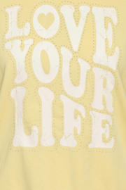 thumbnail: ONLY CARMAKOMA sweater lichtgeel