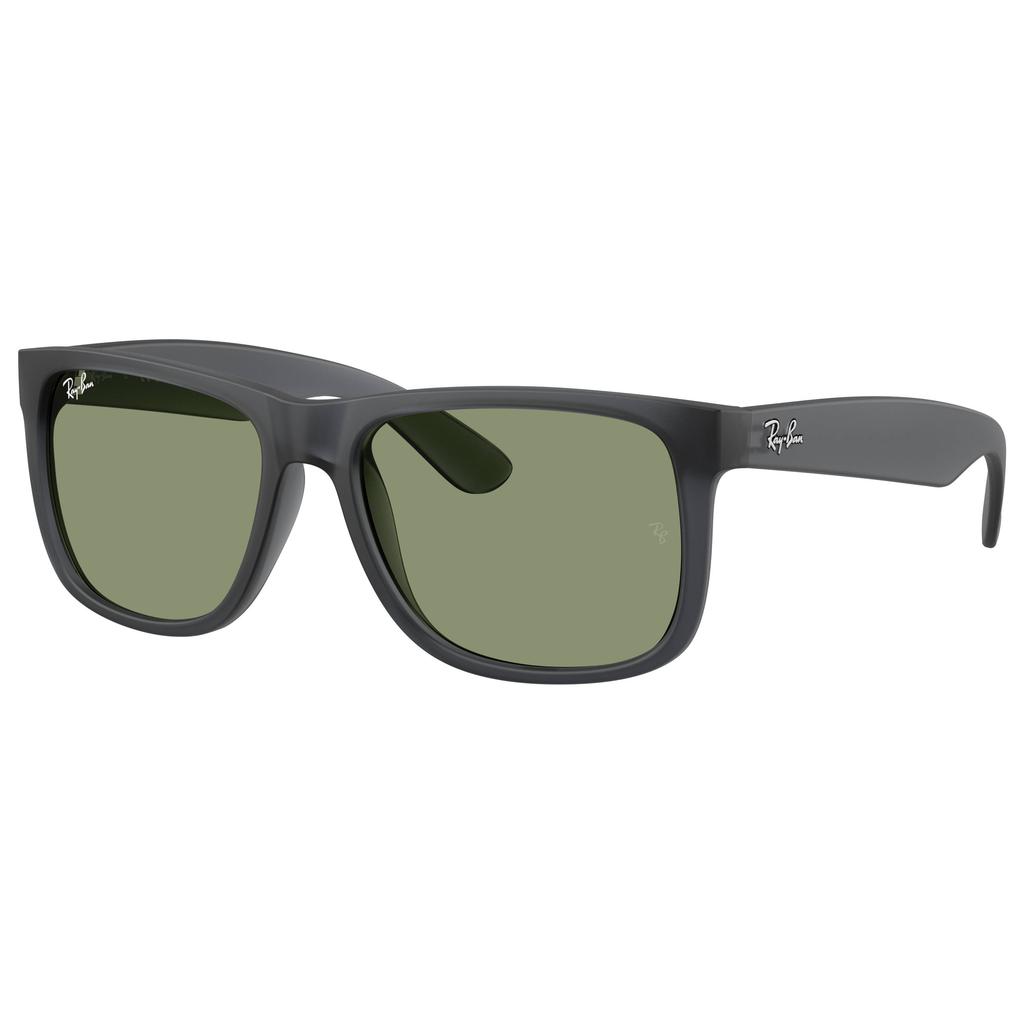 Ray-Ban zonnebril ORB4165 zwart