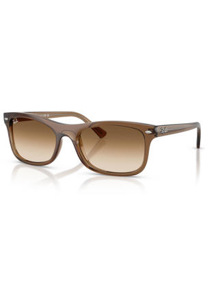 zonnebril 0RB2226 bruin