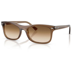 zonnebril 0RB2226 bruin