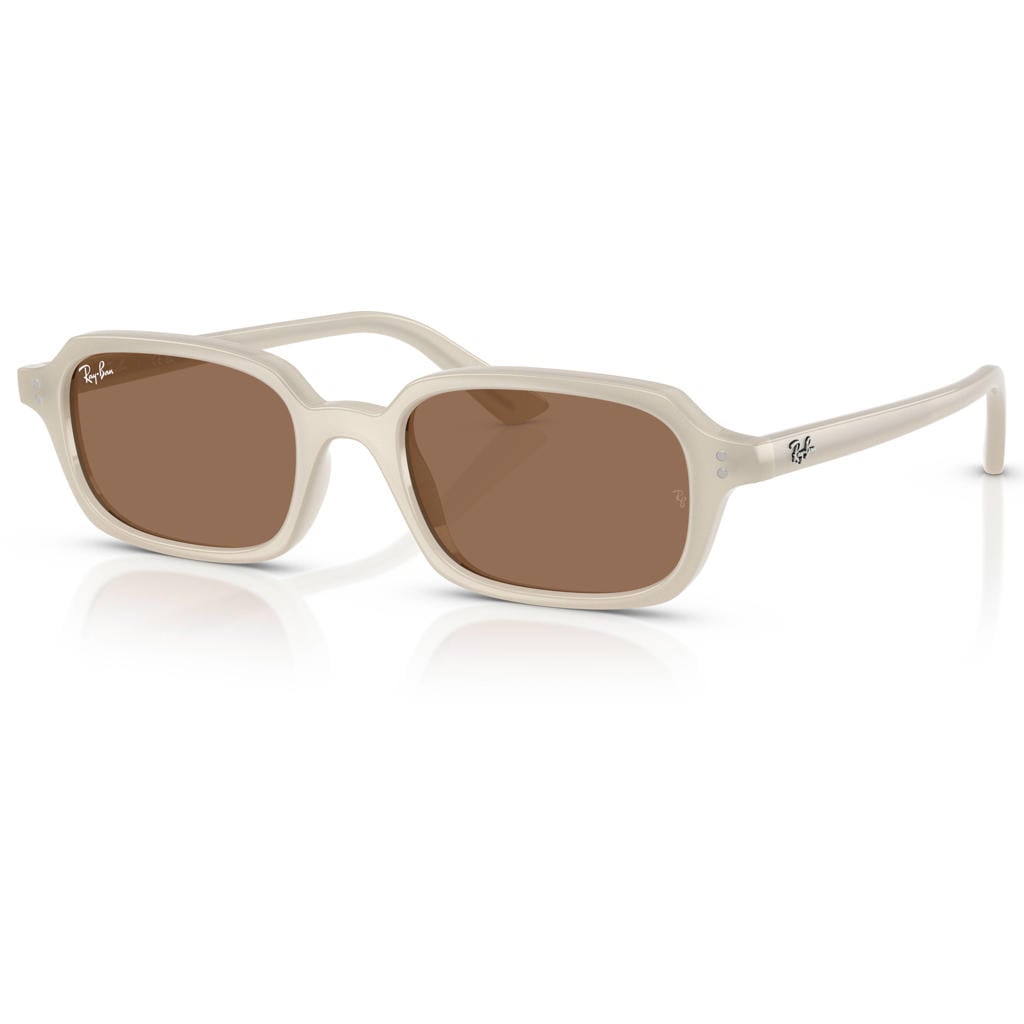 Ray-Ban zonnebril 0RB4455 beige