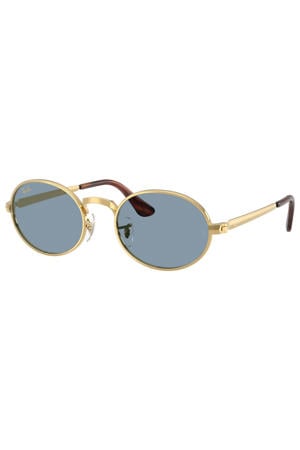 x A$AP Rocky zonnebril RB3931 goudkleurig/blauw