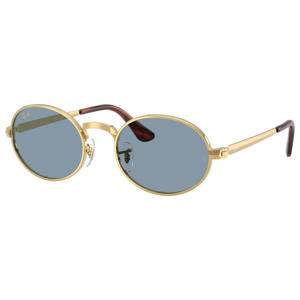 x A$AP Rocky zonnebril RB3931 goudkleurig/blauw