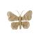 Light & Living wandornament Butterfly (25x19x6 cm)
