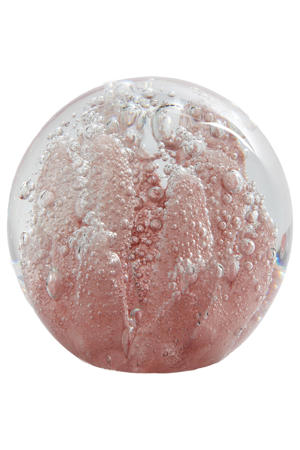 ornament Coral