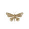 Light & Living wandornament Butterfly  (49x30x9 cm)
