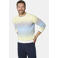 Babista regular fit gebreide gestreepte trui Plus Size - geel