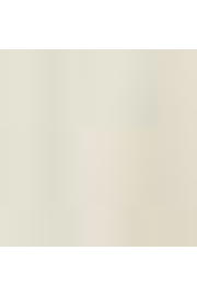 thumbnail: America Today regular T-shirt met backprint beige