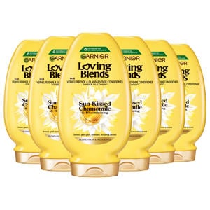 Sun-Kissed Chamomile & Bloemenhoning conditioner - Blond Haar & Highlights - 6 x 250 ml