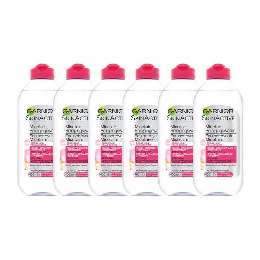 Garnier Skinactive Micellair Reinigingswater voor de Droge Huid - 6 x 400 ml - voordeelverpakking