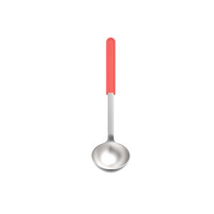 Chef it soeplepel (rvs)