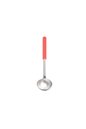 Chef it soeplepel (rvs)