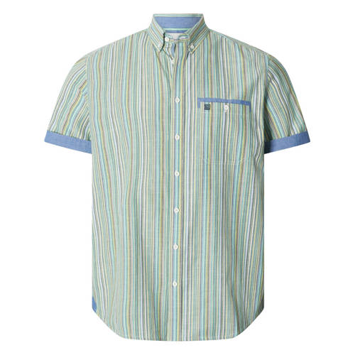 Babista regular gestreepte casual overhemd Plus Size groen afbeelding