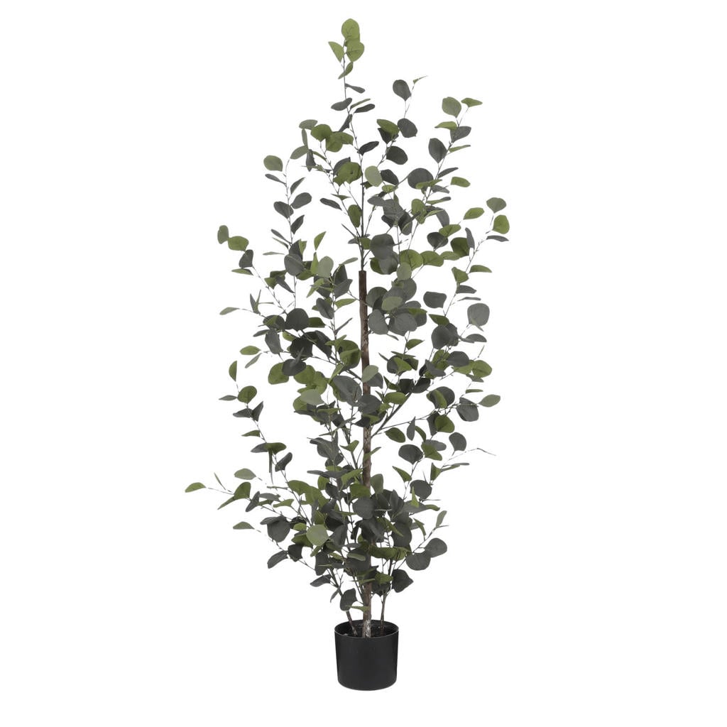 Mica Decorations kunstplant Eucalyptus