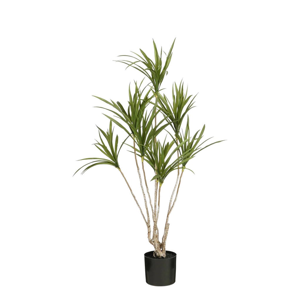 Mica Decorations kunstplant Dracaena