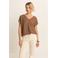 Expresso top camel