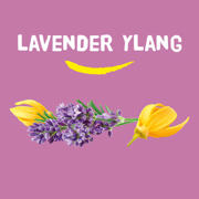 thumbnail: Happy Earth Bundel Deo Spray Lavendel Ylang