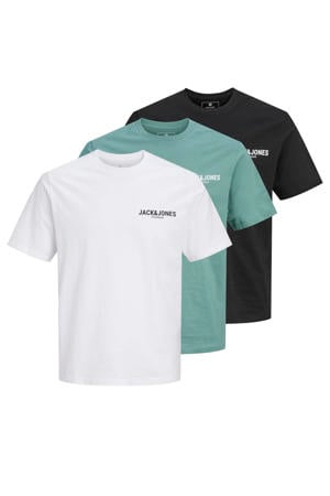 regular T-shirt multi - (set van 3)