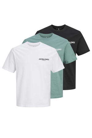 regular T-shirt multi - (set van 3)