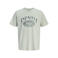 JJ REBEL regular T-shirt lichtgroen