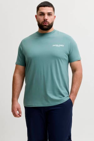 regular T-shirt groen