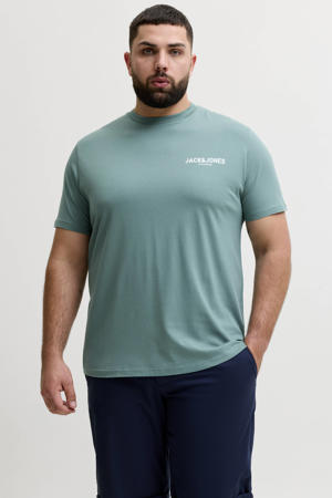 regular T-shirt groen