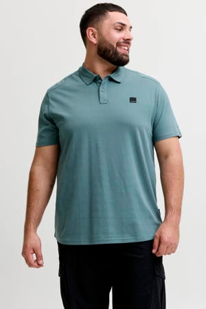 regular polo blauw
