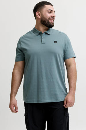 regular polo blauw