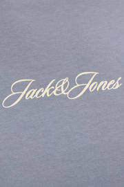 thumbnail: JACK & JONES PLUS SIZE regular T-shirt met backprint grijsblauw