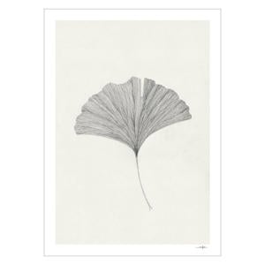 Poster - The Poster Club x Ana Frois - Grinkgo Leaf (50 x 70 cm cm)