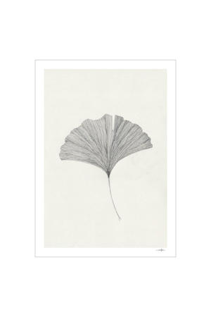 Poster - The Poster Club x Ana Frois - Grinkgo Leaf (50 x 70 cm cm)