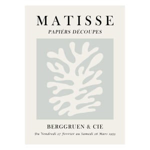 Poster - Vitor Costa - Matisse floral art 3 (50 x 70 cm cm)