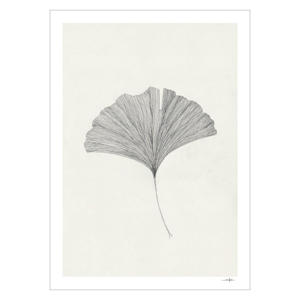Poster - The Poster Club x Ana Frois - Grinkgo Leaf (30 x 40 cm cm)