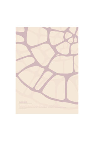 Poster - Vicki Zoe - SOFTROSE FOSSIL (30 x 40 cm cm)