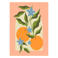 Poster & Frame Poster - Melissa Donne - Orange Branch with Flowers (50 x 70 cm cm)