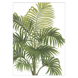 Poster - Wild Apple - Riviera Palms I Crop (30 x 40 cm cm)