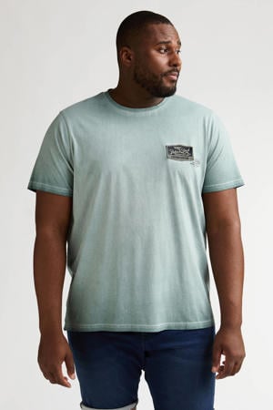 regular T-shirt groen