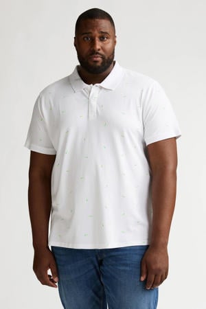regular polo wit