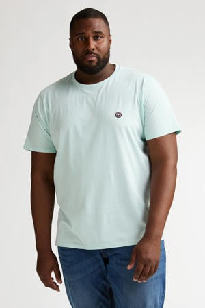 regular T-shirt mintgroen