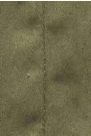 thumbnail: ONLY regular waist bermuda short kaki