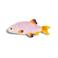 &k amsterdam serveerbord Fish (31,5x13x2 cm)