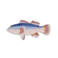 &k amsterdam serveerbord Fish (38x18x1 cm)