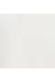 thumbnail: America Today regular T-shirt met backprint wit