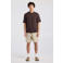 America Today regular T-shirt bruin