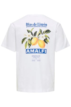 relaxed T-shirt met backprint wit